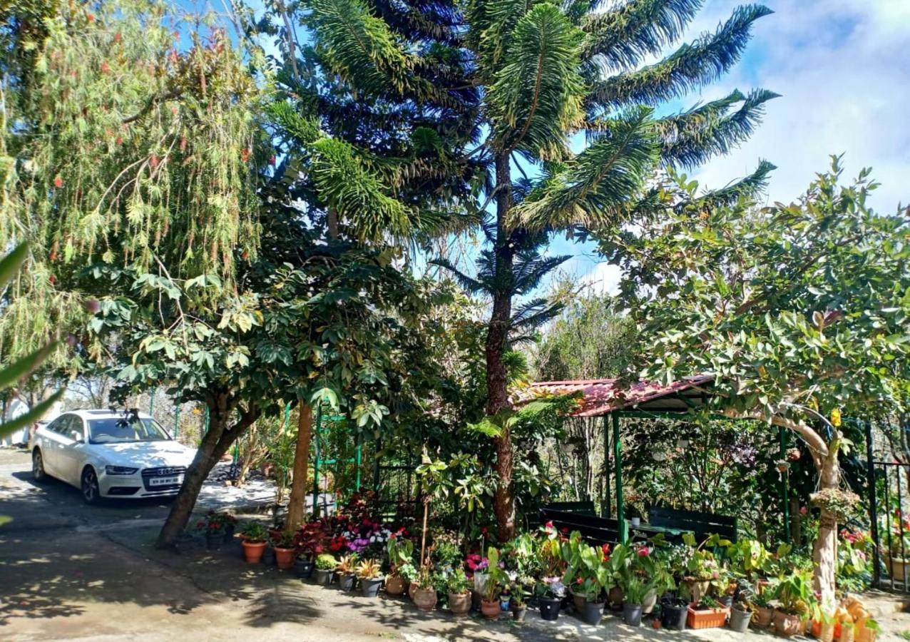 Silver Spruce Entire Nature Villa 코타지리 외부 사진