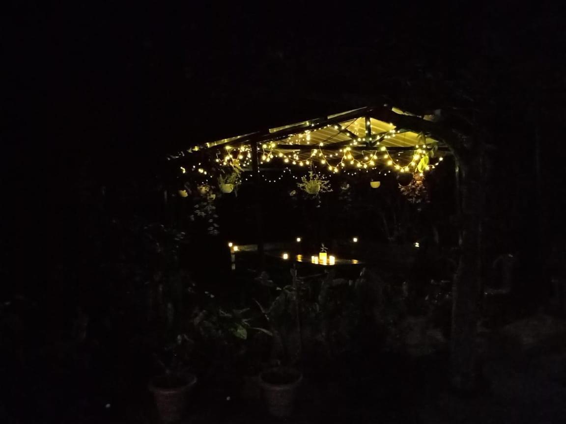 Silver Spruce Entire Nature Villa 코타지리 외부 사진