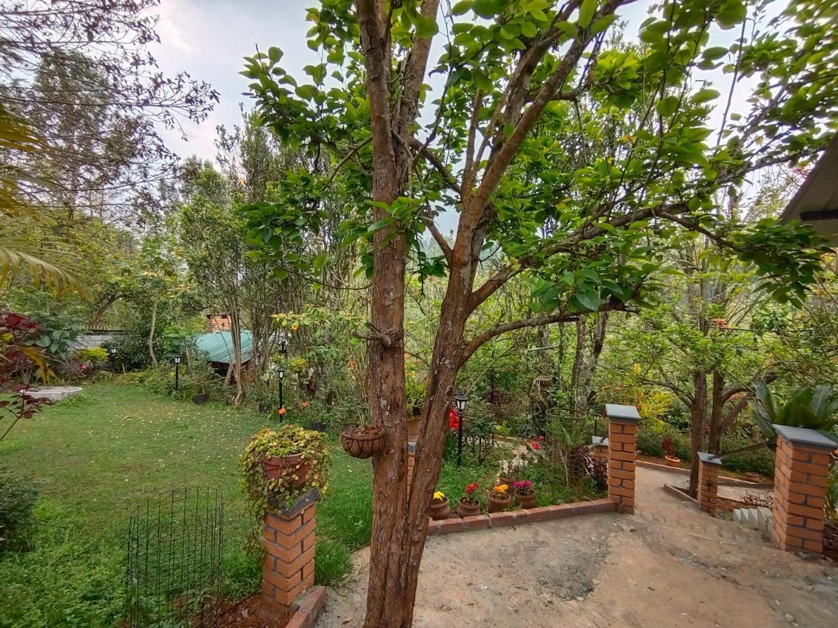 Silver Spruce Entire Nature Villa 코타지리 외부 사진
