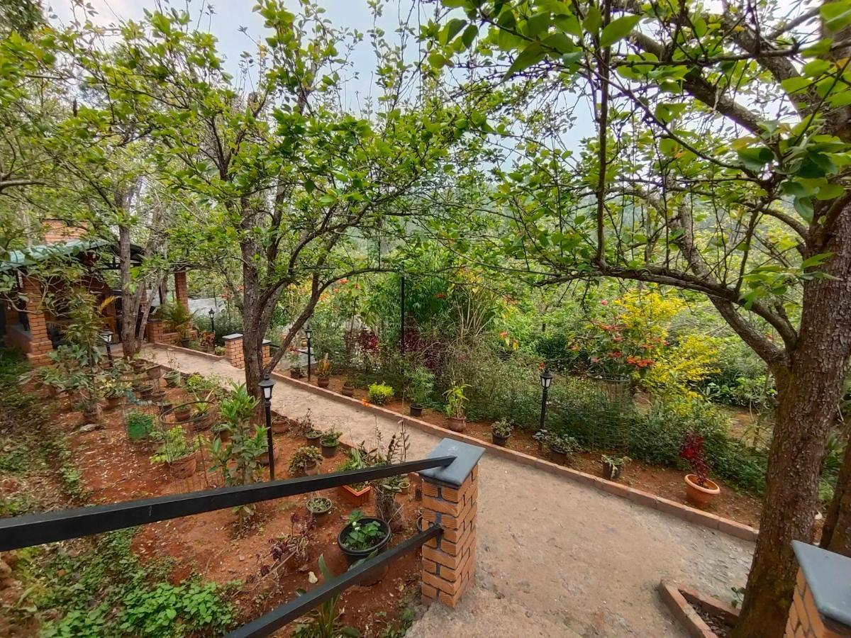 Silver Spruce Entire Nature Villa 코타지리 외부 사진
