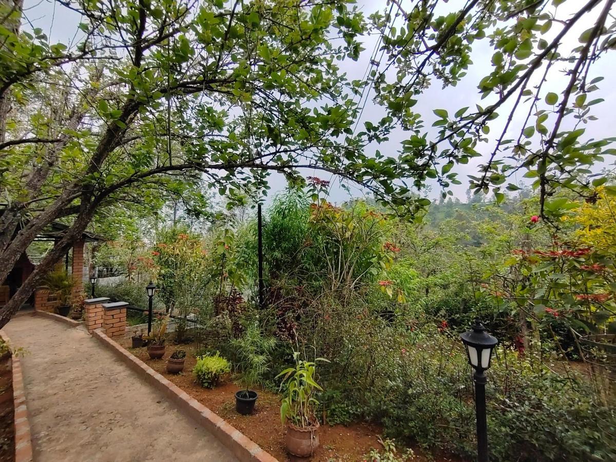 Silver Spruce Entire Nature Villa 코타지리 외부 사진