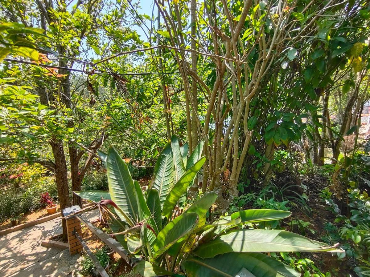 Silver Spruce Entire Nature Villa 코타지리 외부 사진