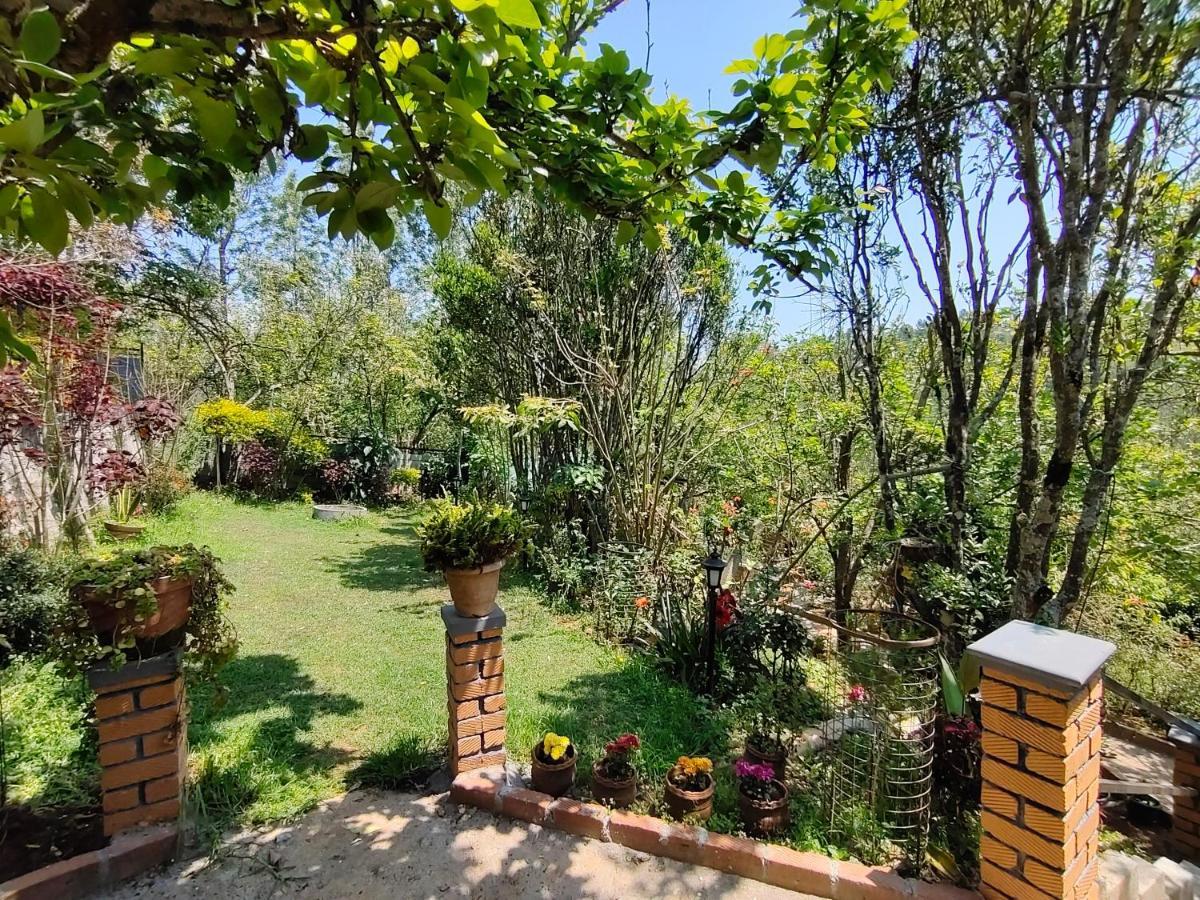 Silver Spruce Entire Nature Villa 코타지리 외부 사진