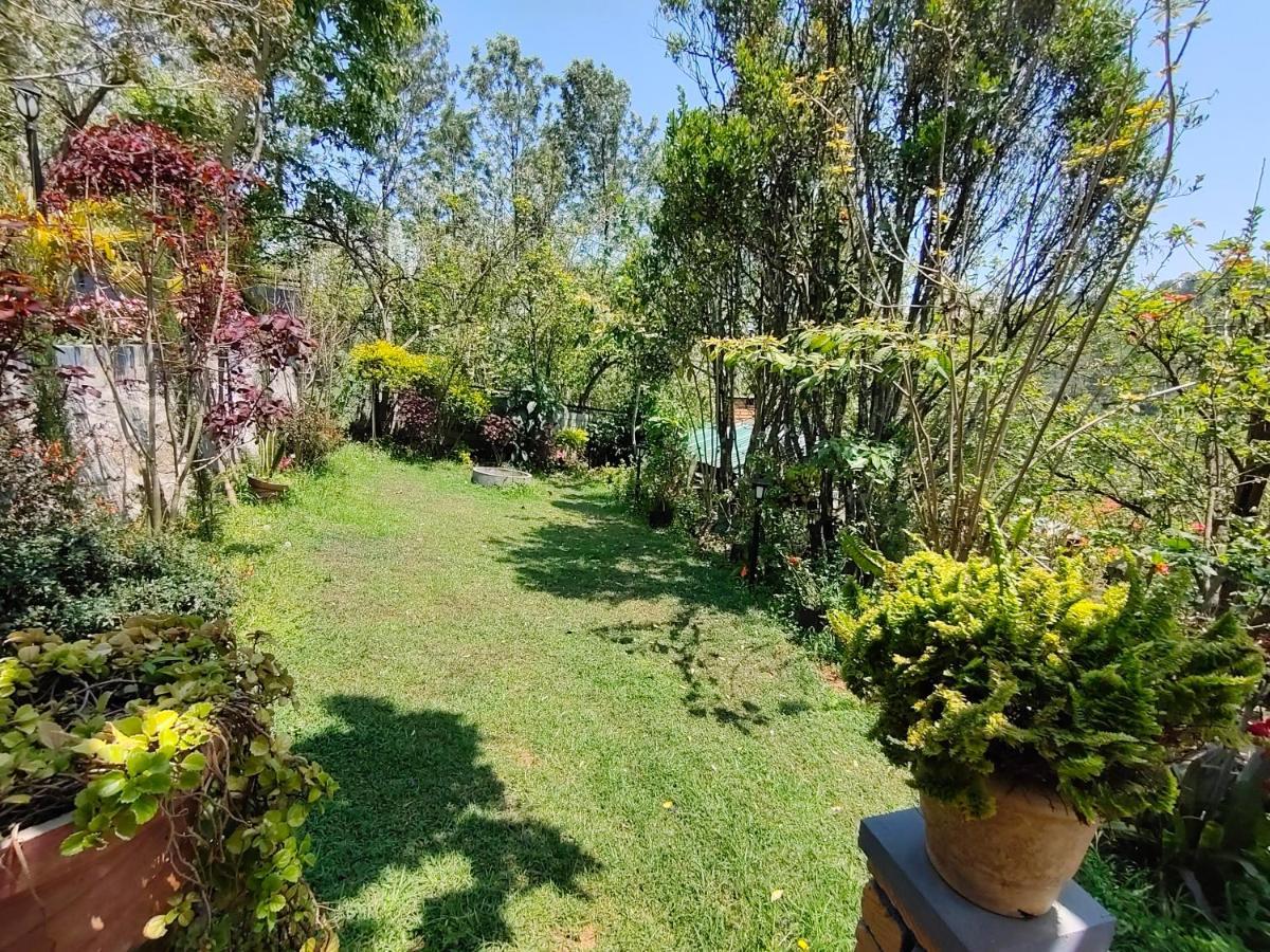 Silver Spruce Entire Nature Villa 코타지리 외부 사진