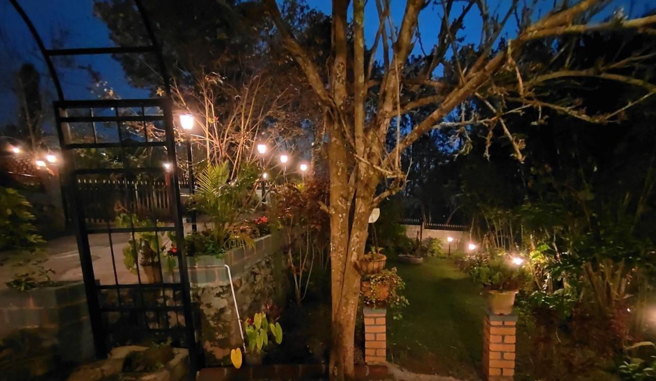 Silver Spruce Entire Nature Villa 코타지리 외부 사진