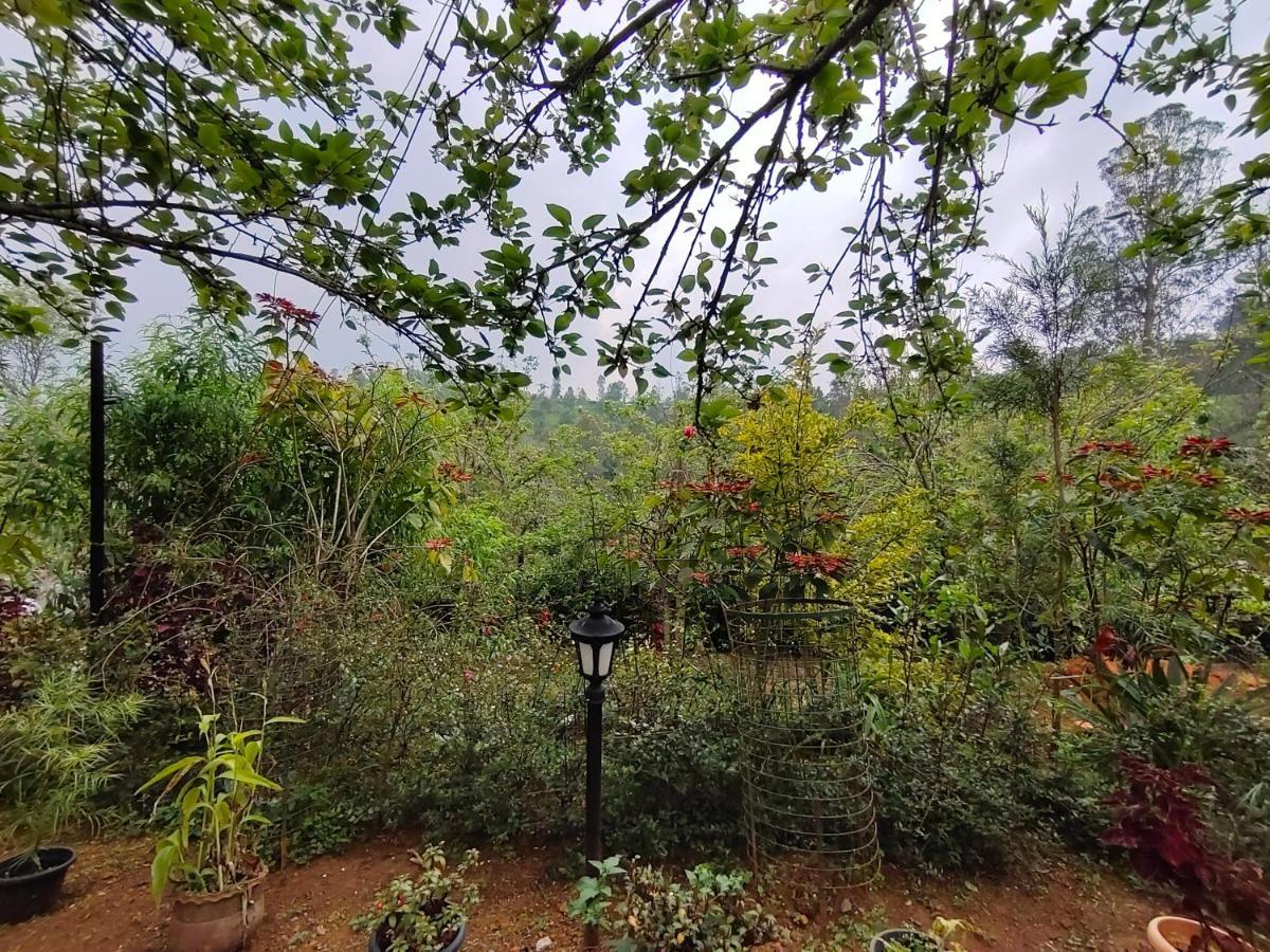 Silver Spruce Entire Nature Villa 코타지리 외부 사진