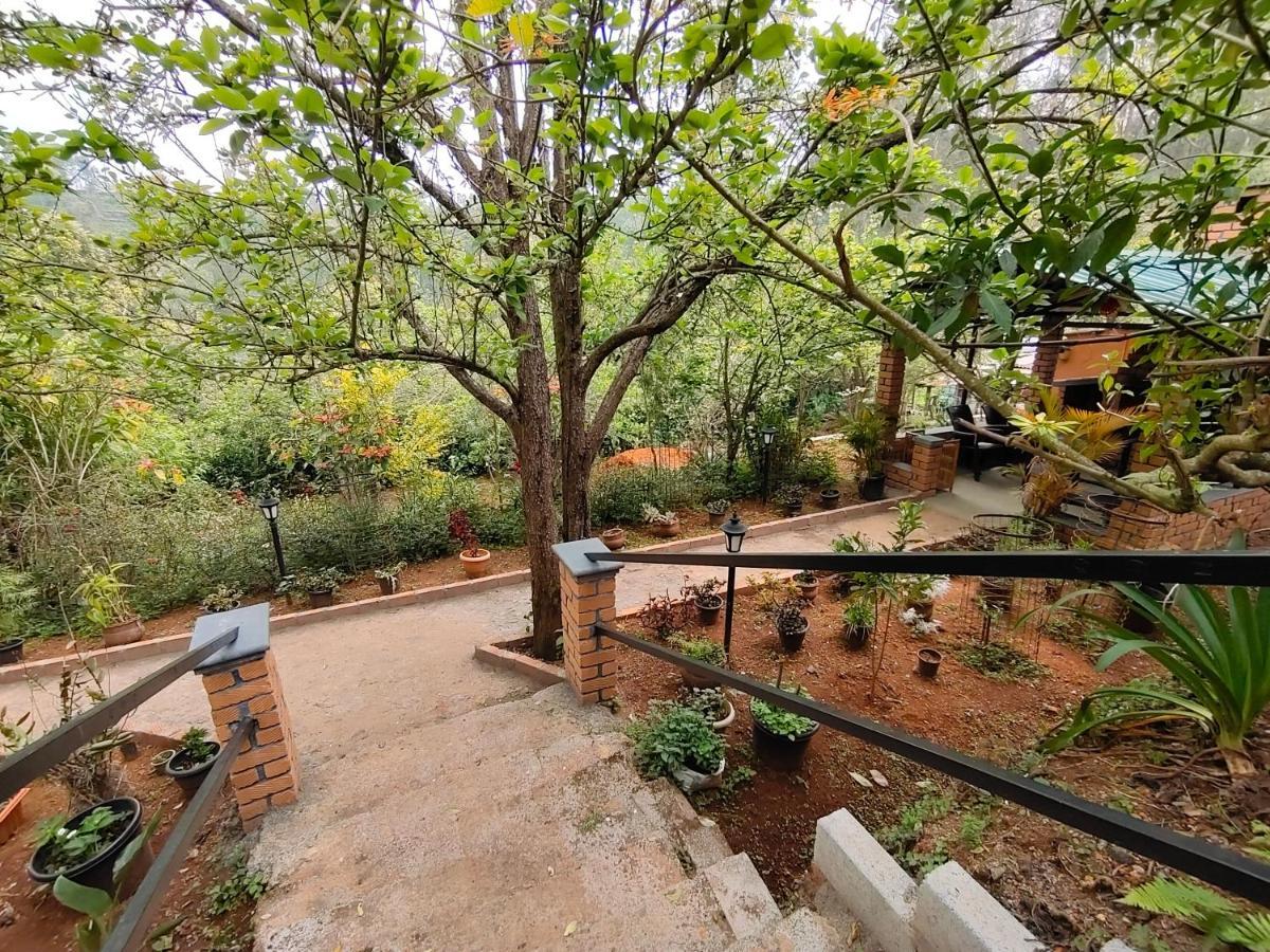 Silver Spruce Entire Nature Villa 코타지리 외부 사진