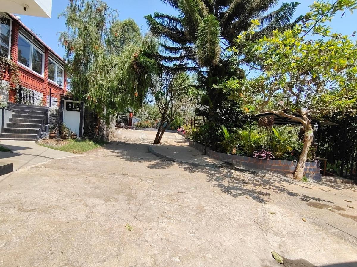 Silver Spruce Entire Nature Villa 코타지리 외부 사진