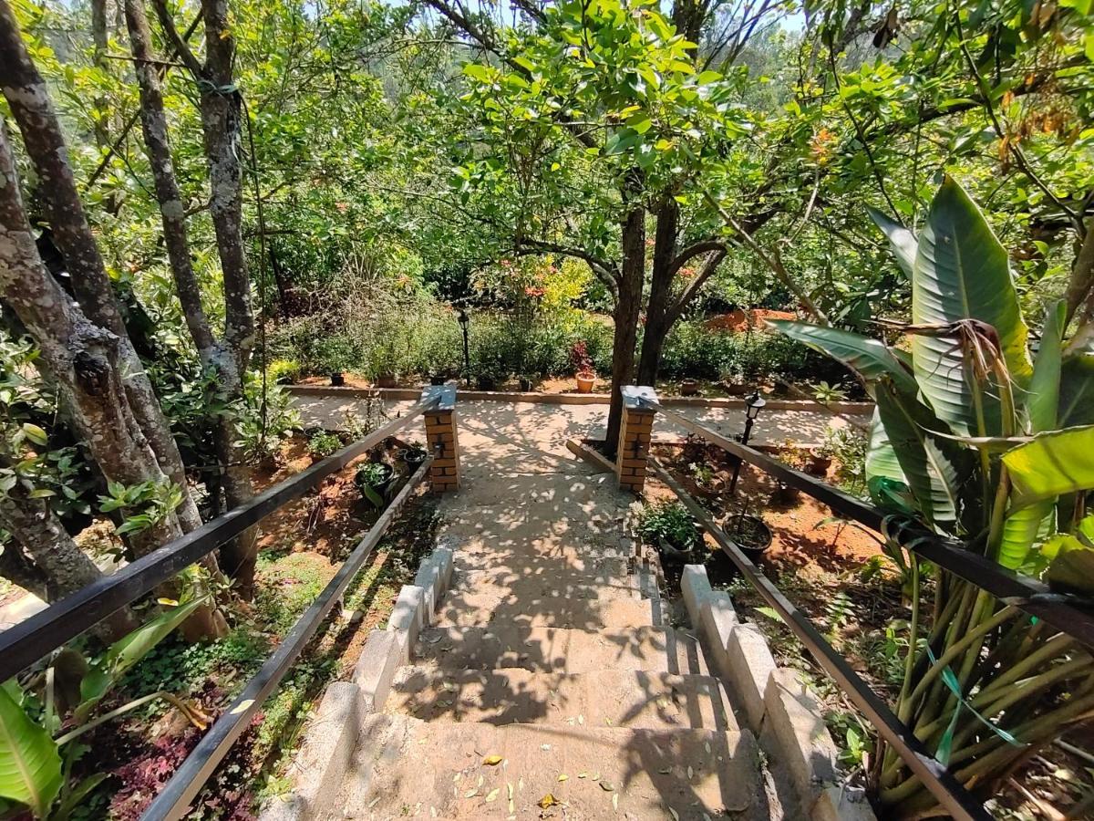 Silver Spruce Entire Nature Villa 코타지리 외부 사진