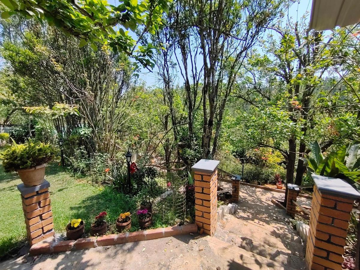 Silver Spruce Entire Nature Villa 코타지리 외부 사진