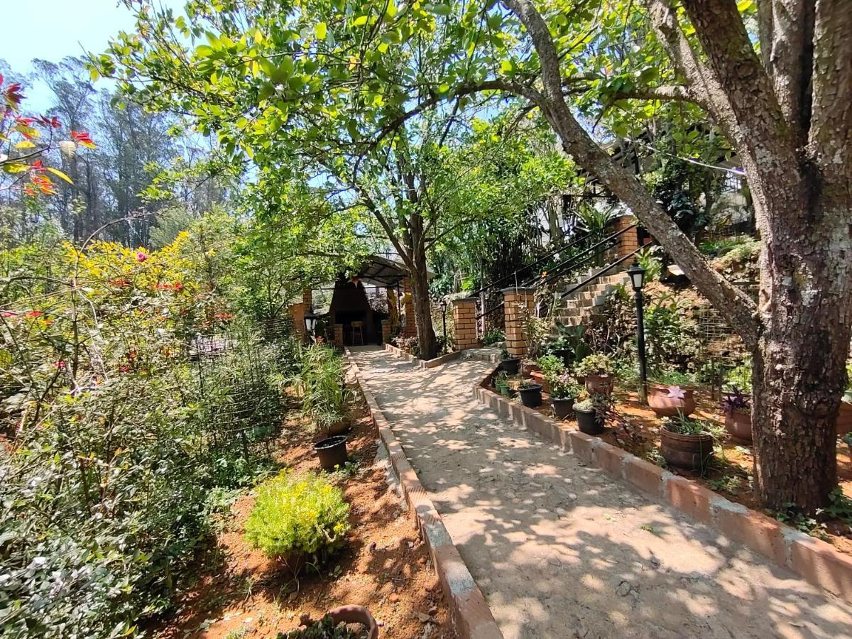 Silver Spruce Entire Nature Villa 코타지리 외부 사진