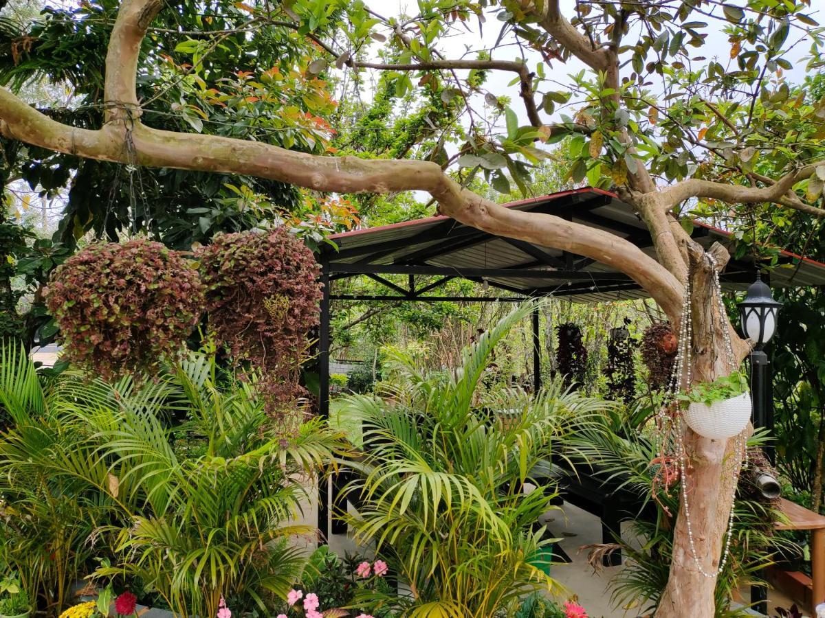 Silver Spruce Entire Nature Villa 코타지리 외부 사진