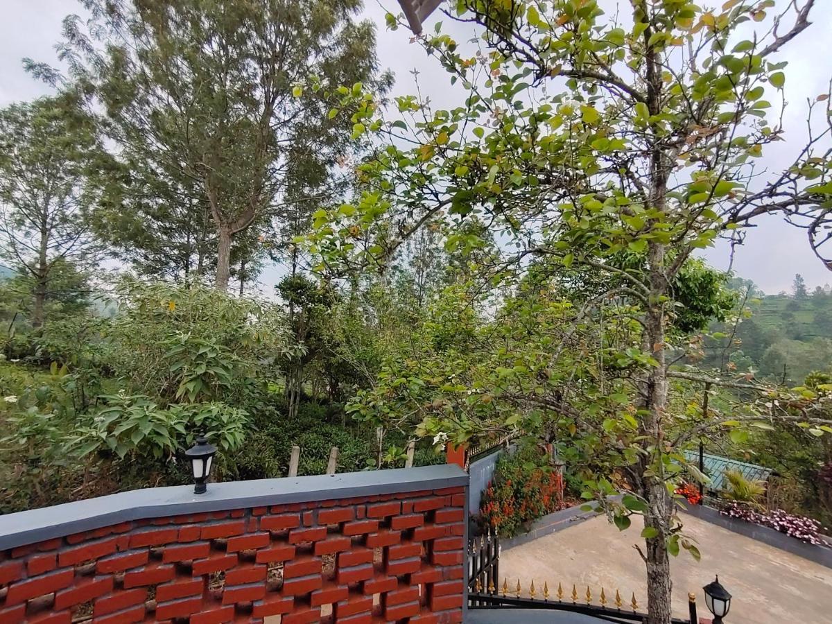 Silver Spruce Entire Nature Villa 코타지리 외부 사진