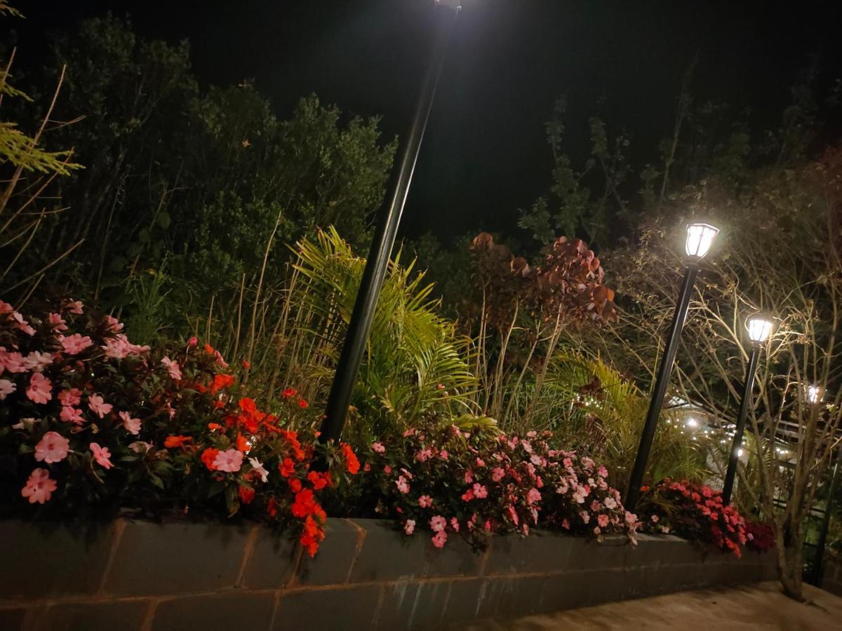 Silver Spruce Entire Nature Villa 코타지리 외부 사진