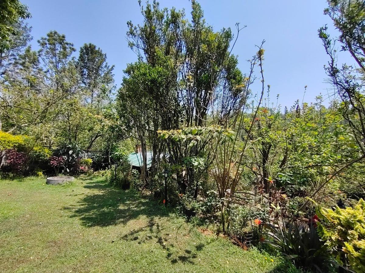 Silver Spruce Entire Nature Villa 코타지리 외부 사진