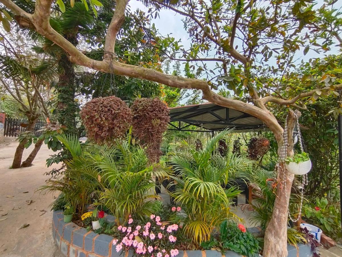 Silver Spruce Entire Nature Villa 코타지리 외부 사진