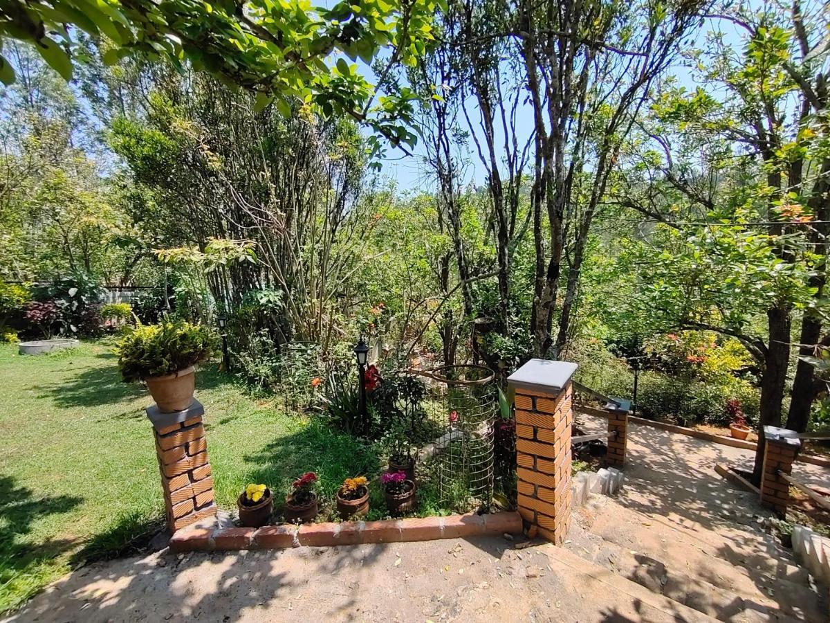 Silver Spruce Entire Nature Villa 코타지리 외부 사진