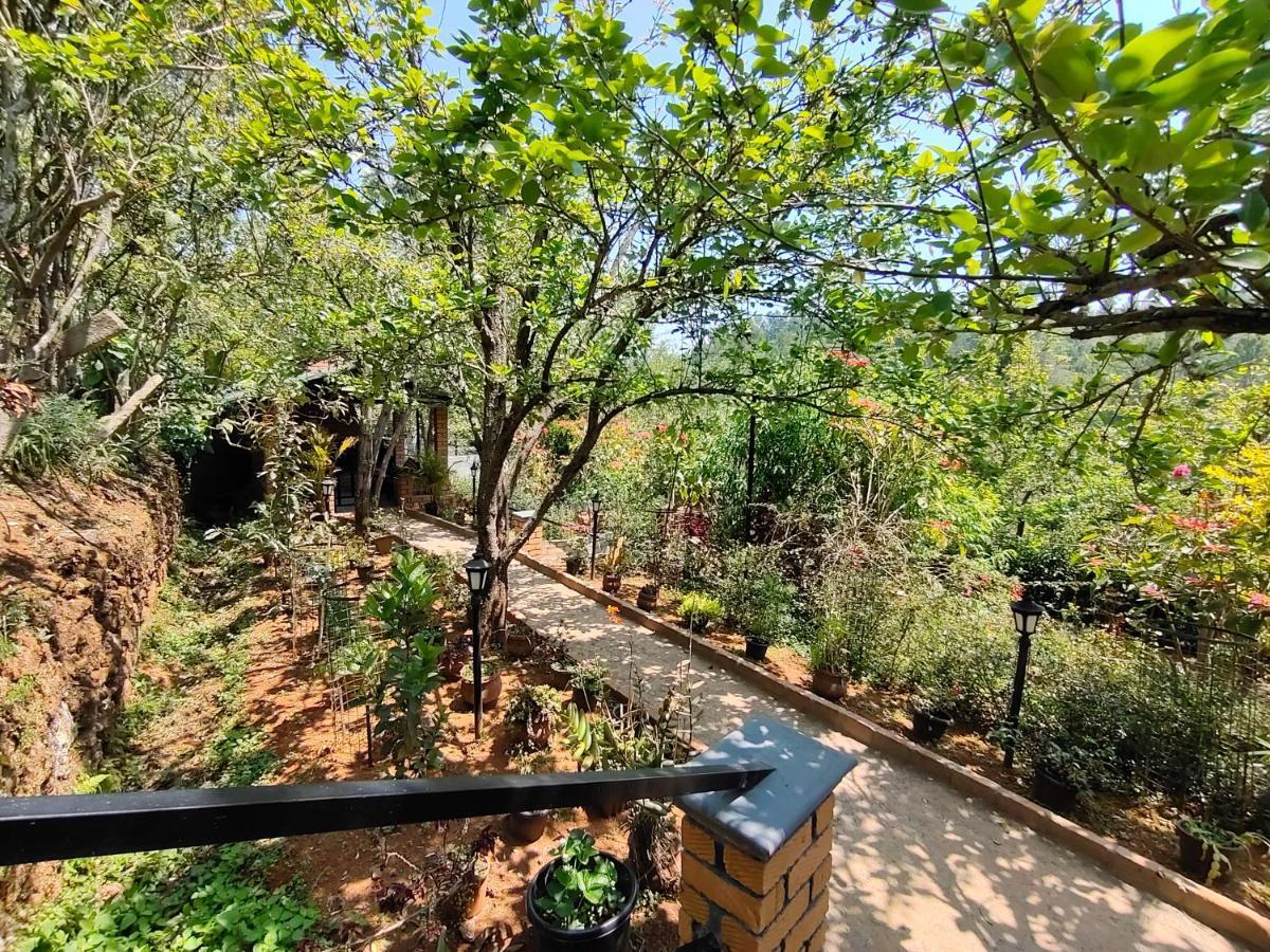 Silver Spruce Entire Nature Villa 코타지리 외부 사진