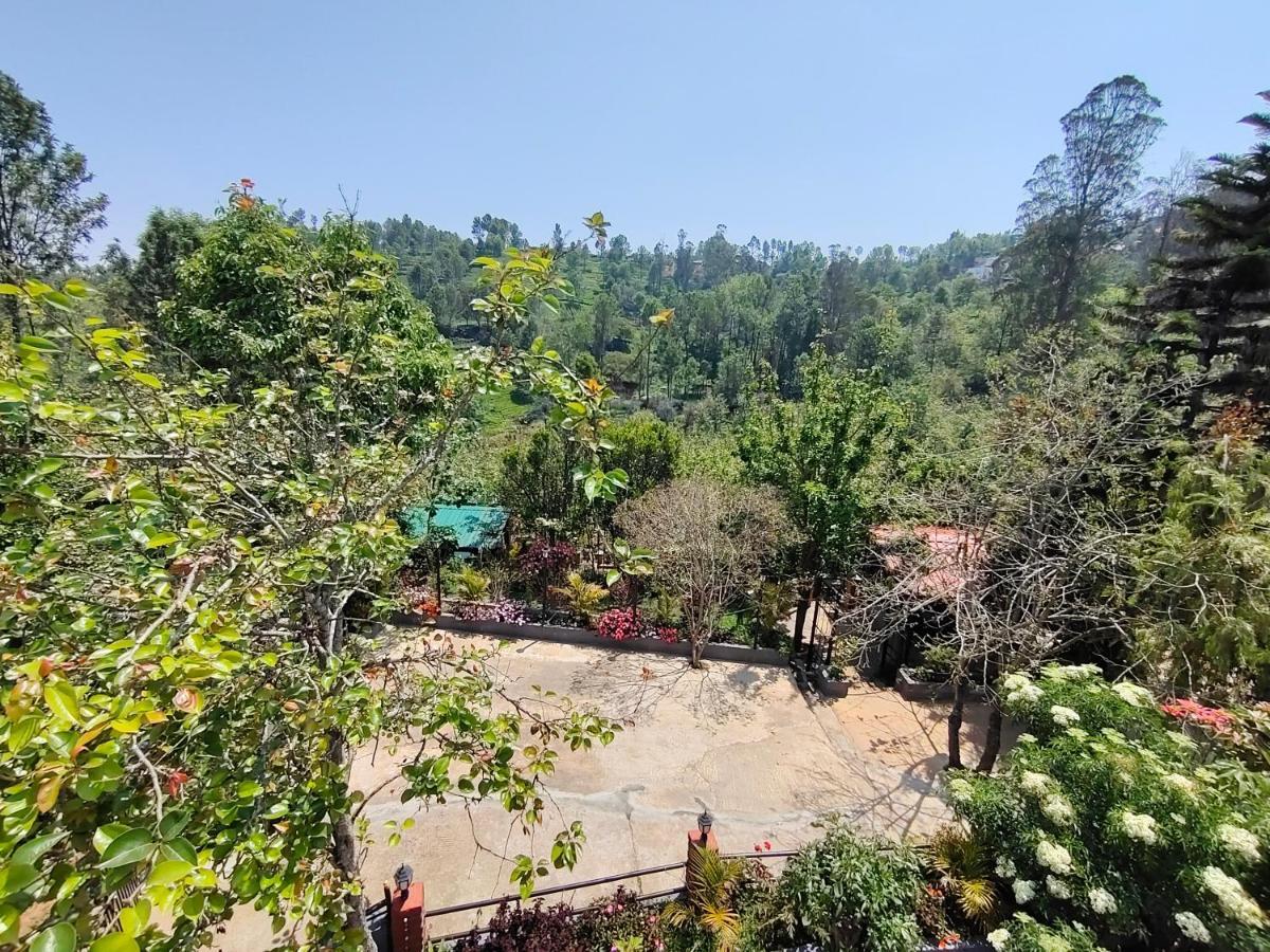 Silver Spruce Entire Nature Villa 코타지리 외부 사진