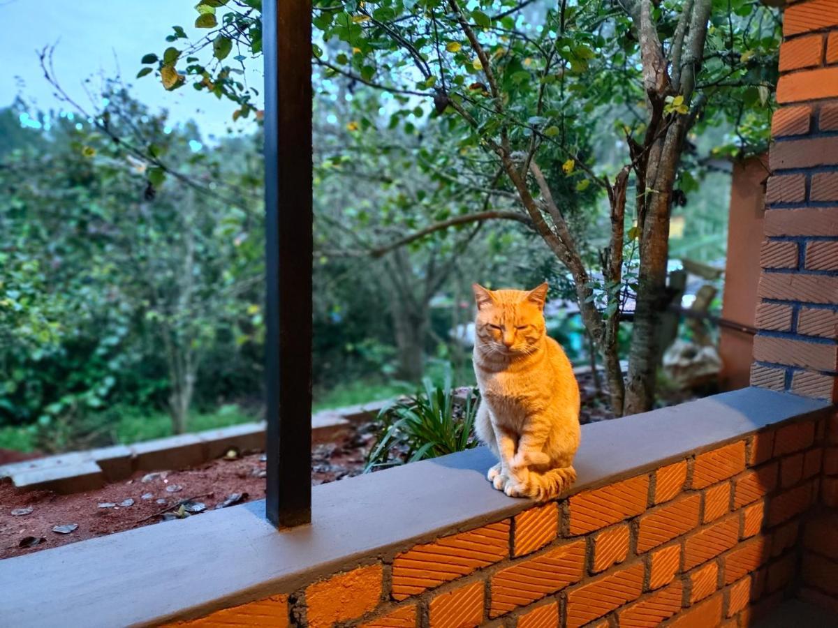 Silver Spruce Entire Nature Villa 코타지리 외부 사진