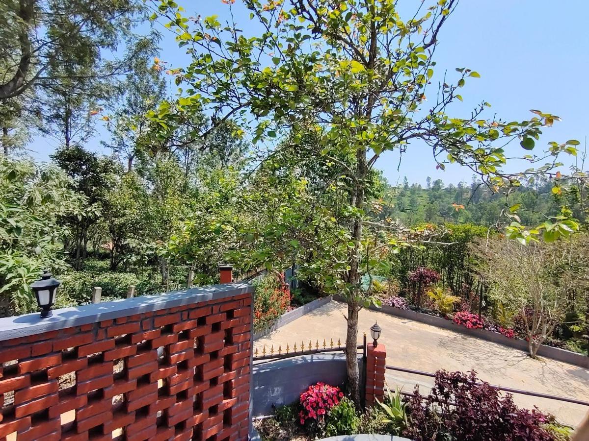 Silver Spruce Entire Nature Villa 코타지리 외부 사진