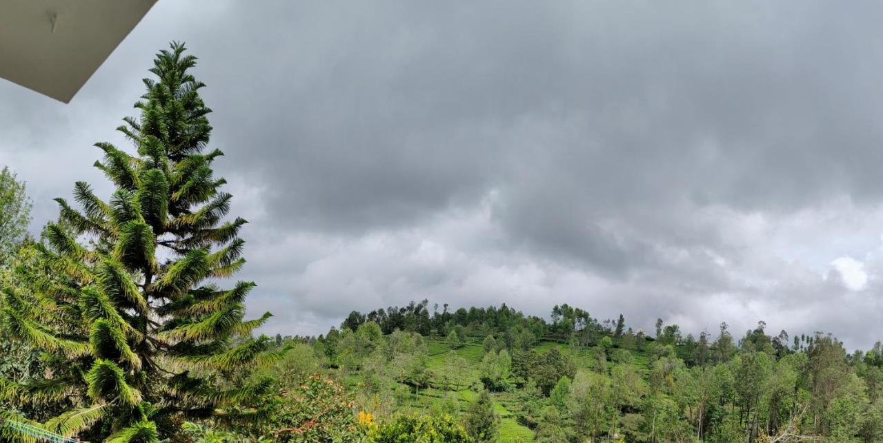 Silver Spruce Entire Nature Villa 코타지리 외부 사진