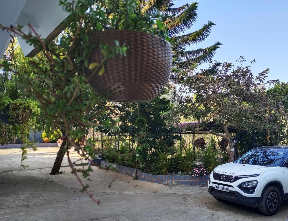 Silver Spruce Entire Nature Villa 코타지리 외부 사진